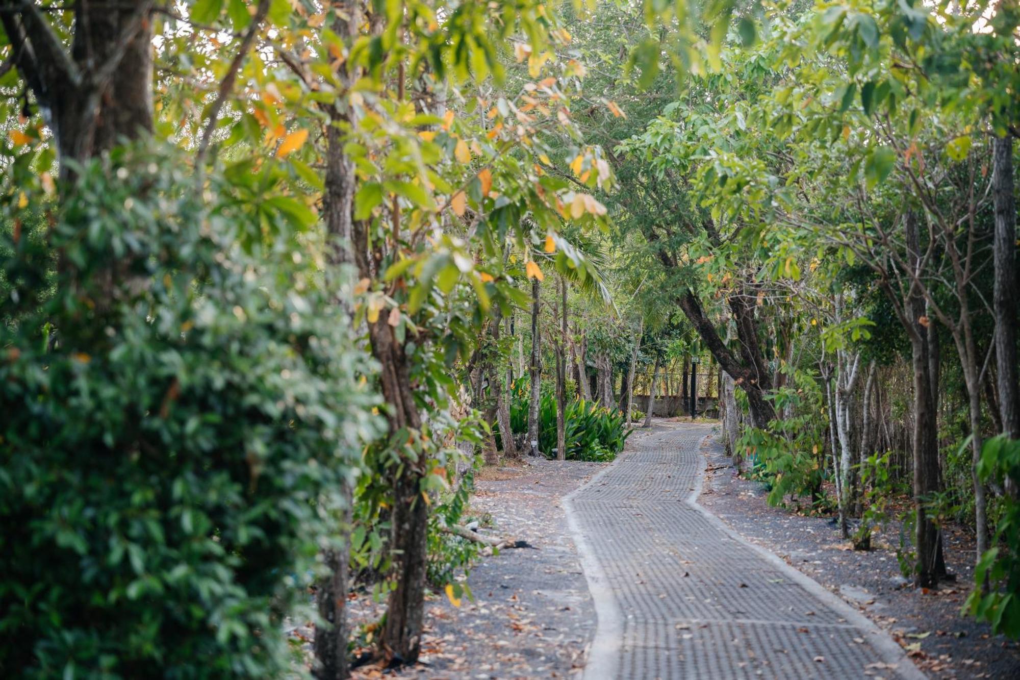 Samui Fishing Club And Resort Na Mueang Zewnętrze zdjęcie
